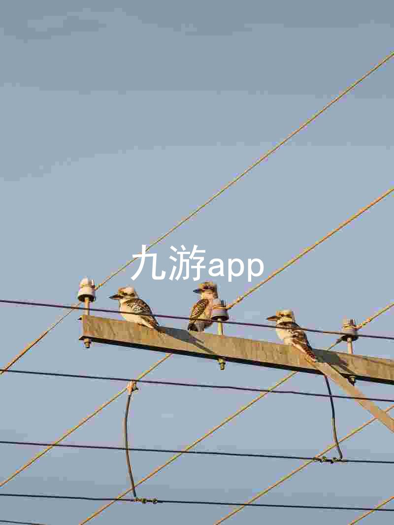 九游app